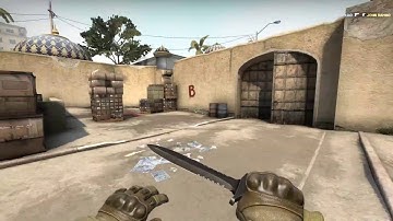 CS GO - Cho | Easy Peasy Lemon Squeezy - ACE