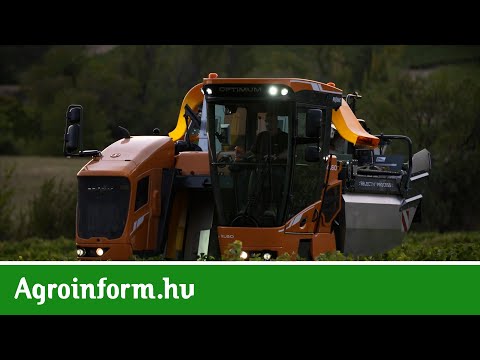 Videó: Gépkocsikölcsönre van szüksége? A Gazprombank szívesen segít