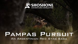 Pampas Pursuit | An Argentinian Red Stag Saga