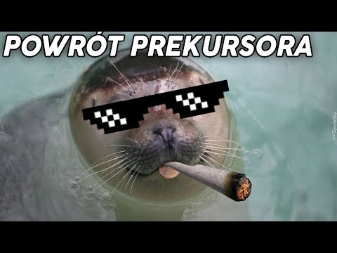 POWRÓT FOCZEGO PREKURSORA! FOKA ZNOWU SIĘ KRĘCI! - POWRÓT FOCZEGO PREKURSORA! FOKA ZNOWU SIĘ KRĘCI!