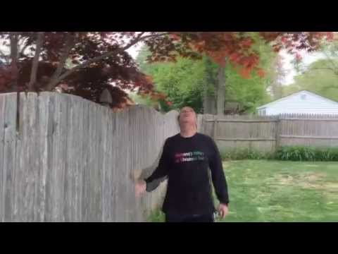 How to deal with neighbors | vicdibitetto.net
