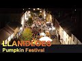 Llanidloes Pumpkin Festival 2021 | Mid Wales