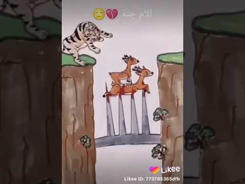 امي يانبع الحنان