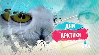 ДНИ АРКТИКИ _Лекция А. Сабурова 