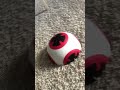 loop... #shorts #loop #cute  #stuffedanimals