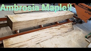 Ambrosia Maple with a Woodmizer LT10