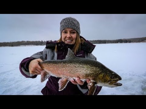 NEW StrikeMaster Lithium 24v ice auger (👀 first impressions