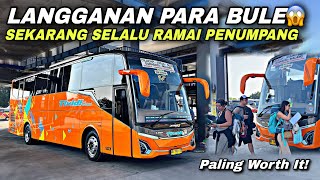 A Favorite Bus for Foreigners 😱 Now This Bus is Always Full of Passengers ❗️| Tividi Efficient T1...