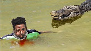 This Man Saved A Crocodile From Dying. Years Later, The Unexpected Happened
