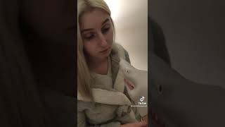 Jajajajaja Manolo El Tiburón Mira Este Video Cuando Estés Aburrido