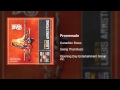 Miniature de la vidéo de la chanson Promenade