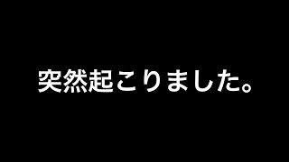 急遽動画をまわしてます。