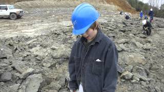 Eocene Fossil Hunting at the  Cement Quarry in Harleyville, South Carolina