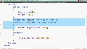 Make Input Element with Type Number Have the Look and Behaviour of an Input Element with Type Text