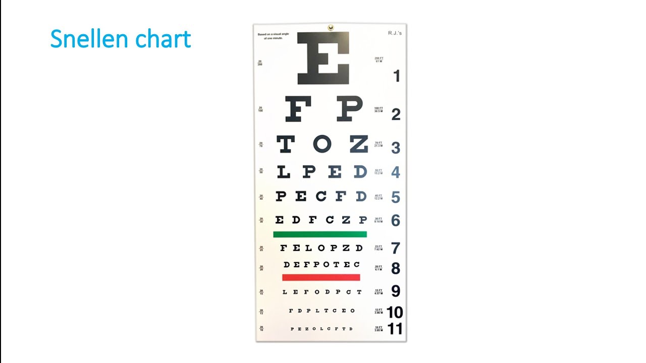 Optic Nerve, Clinical examination, by Dr Gireesh Kumar KP YouTube