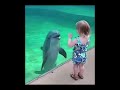 This is precious ♥️#pet #cat #funnyshorts #dog #funnyanimals #cute