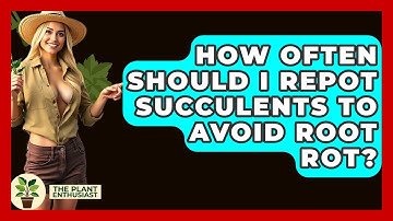 How Often Should I Repot Succulents To Avoid Root Rot? - The Plant Enthusiast