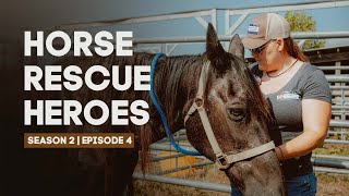 Horse Rescue Heroes | Season 2 | Episode 4 | Auction Rescue