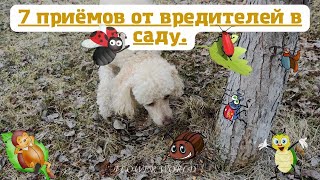 7 приемов от вредителей в саду.🧐🍂💐