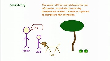 Illustration of Schema, Assimilation, & Accommodation
