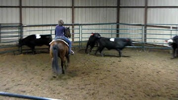 Big Enough - sorting practice - Valley View Ranch