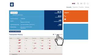 Online Banking Manual - Log in & Accounts
