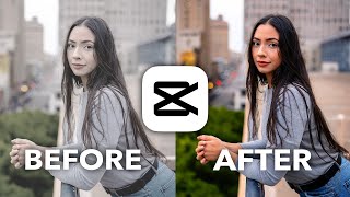 CapCut Color Grading 101 (Tutorial) screenshot 5