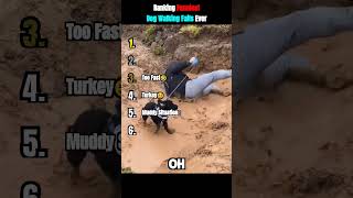 Ranking Funniest Dog Walking Fails Ever😭😭 #funny #dog