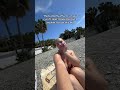 How crazy is that?! #butterflyeffect #funny #trendingvideo #trendinshorts #travellife #traveler