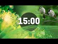 Nature Sounds Bird Signing 15 Minute Relaxing Timer 