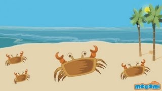 Why do Crabs walk Sideways? | Mocomi Kids