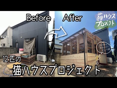 動画 12匹の猫ハウスプロジェクトのビフォーアフターを紹介 追加しました カタリナハウス 動画 12匹の猫ハウスプロジェクトのビフォーアフターを紹介 追加しました カタリナハウス