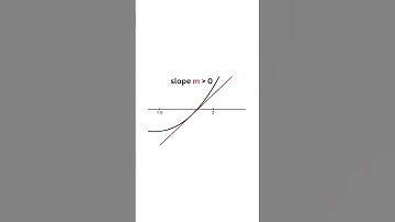 Cat explains Definition of derivative #maths #proof #derive #science