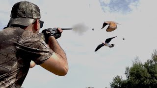 Chasse Tourterelle des bois Au Maroc - Best Dove Hunting (chasse pigeon) Partie 2