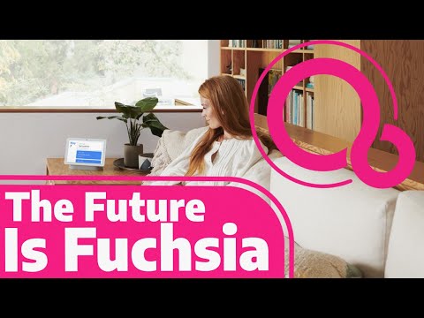 ቪዲዮ: Fuchsia (53 ፎቶዎች) - ይህ ተክል ምንድነው? Fuchsia Primer። በበልግ ወቅት ከእሱ ጋር ምን ይደረግ? በድስት እና በእንቅልፍ ጊዜ ውስጥ ማደግ። ቁጥቋጦ እና ሌሎች ዓይነቶች። ለምን አይበቅልም?