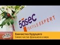 Как заработать на грязнулях. Франшиза химчистки 5asec