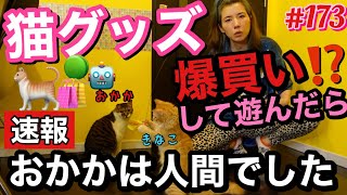 速報⚠️ウチの猫おかかは人間でした🐈猫グッズ爆買いして遊び倒したけどこの有様🥲なんでなの？ウチだけ？