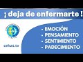 ¡Deja de enfermarte!