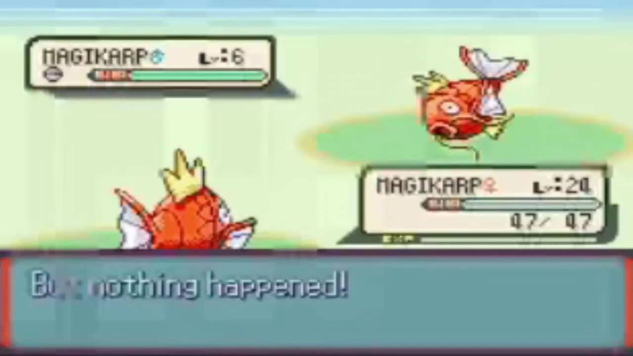 Magikarp Used Splash But Nothing Happened