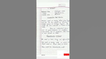 Botany Bsc 4 semester unit 2 #notes#Timber yeilding plants#shorts #shortvideo #bsc