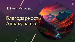 Благодарность Аллаху за всё | Рамин Муталлим