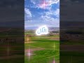 لا تظن أن كل من يضحك سعيد