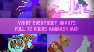 What Everybody Wants Full 72 Hours Animash MEP