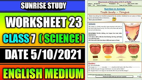 Worksheet no. 23 Date 05-10-2021 Class 7 th Subject - SCIENCE ( ENGLISH MEDIUM)