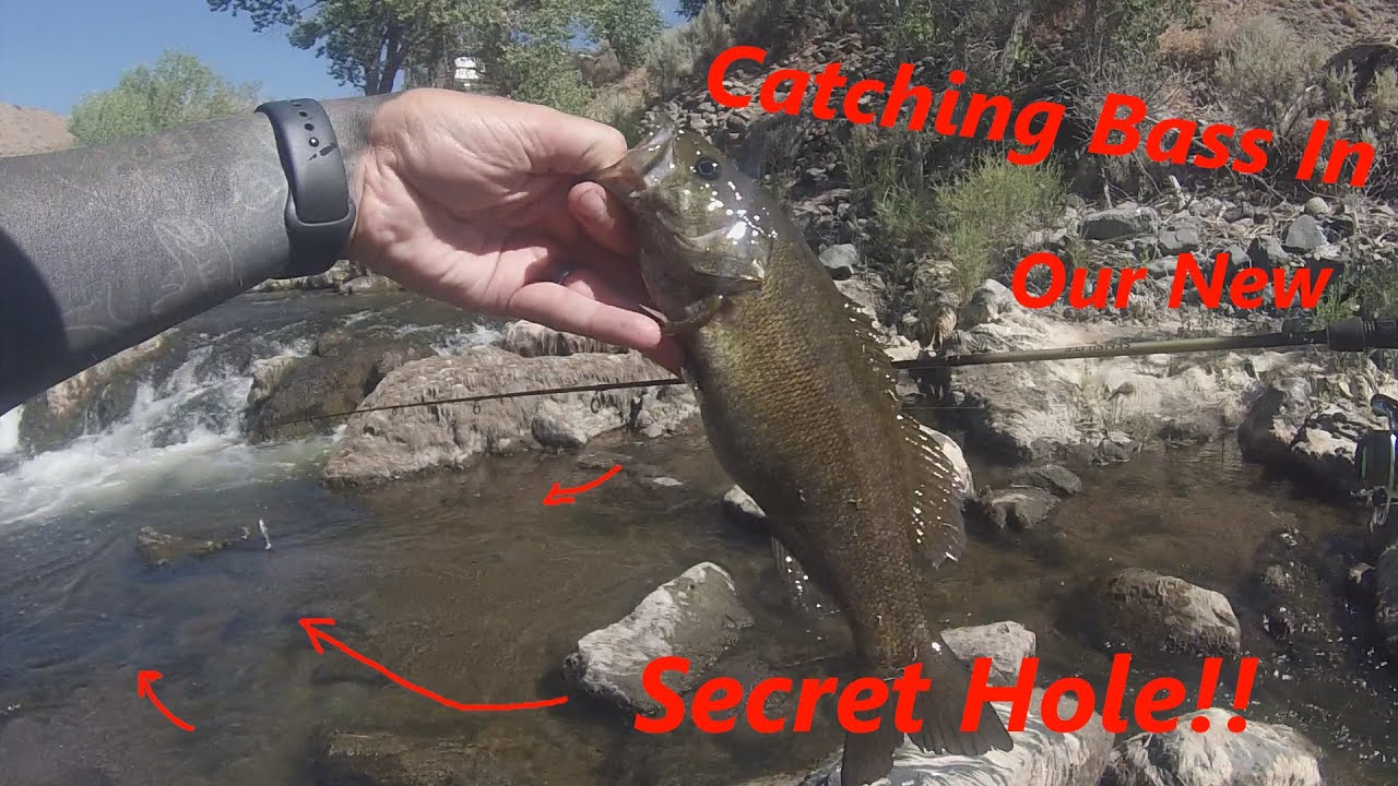 Checking Out Some New Bass Holes!! YouTube