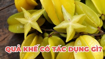 Quả khế chua có tác dụng gì? - Kênh Hướng Dẫn