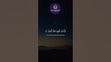 سورة الفيل - sourate de l'éléphant