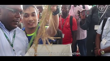 Anaadumba Peter, Rice and South-South Cooperation