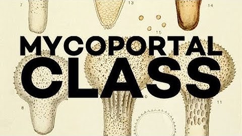 Mycoportal Class