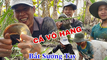 Tập 3: Miền Tây Nước Rút Cá Vô Hang 2 AE Đi Đào Hang Bắt Thấy Mê Luôn #TinhQuêTV 